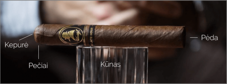 Cigaro sandara | vyriskumas.eu